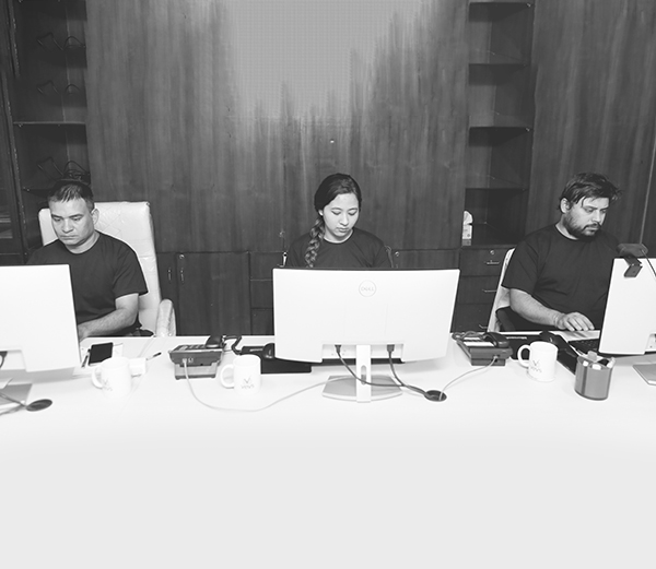 VEVS Global Team